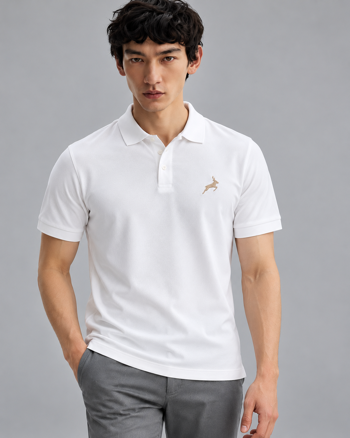 Combo 2 - Pack Of 2 100% Cotton Polo