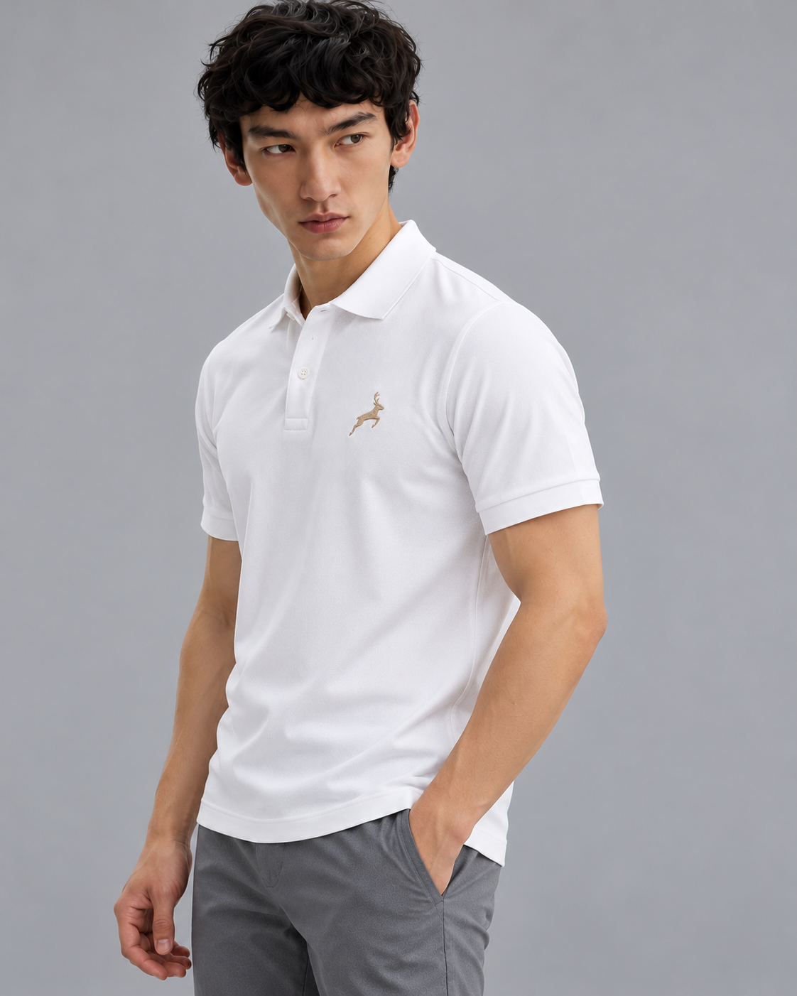 Combo 4 - Pack Of 2 100% Cotton Polo