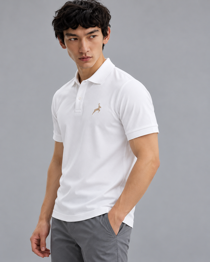 Combo 4 - Pack Of 2 100% Cotton Polo